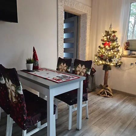 Serce Krynicy *