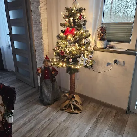 Serce Krynicy Apartment *