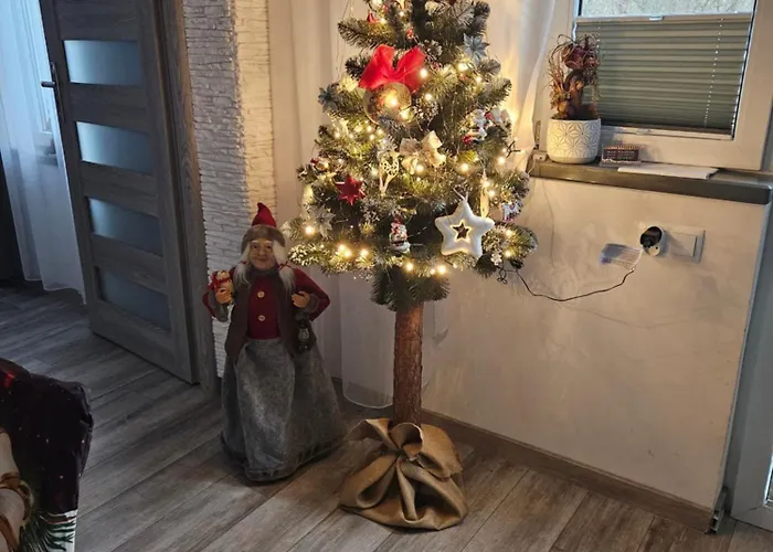 Serce Krynicy شقة *